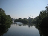 St. James Park Buckingham Palace and London Eye